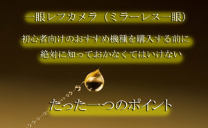 タムロンマクロアイキャッチ