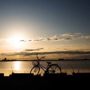 自転車サムネ