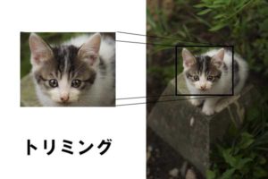 トリミング例