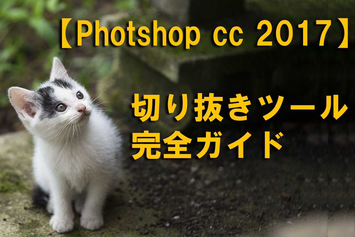 Photoshop Cc 17 切り抜きツール完全ガイド Photoshopと写真のブログ