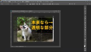 トリミングサンプル のコピー