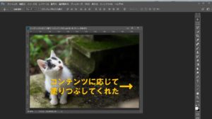コンテンツに応じて塗りつぶしてくれた2 のコピー